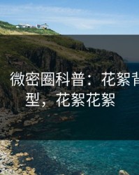 【震惊】微密圈科普：花絮背后3种类型，花絮花絮