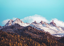 岛遇深度揭秘：丑闻风波背后，明星在公园长椅的角色疯狂令人意外