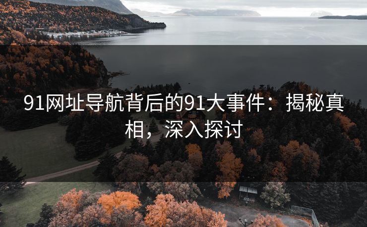 91网址导航背后的91大事件：揭秘真相，深入探讨